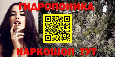 гидра Партизанск